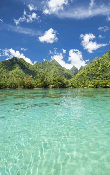 Luxuriant, Teahupo'o © Grégoire Le Bacon