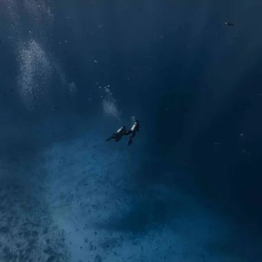 Une session plongée à Tahiti Et Ses Îles © Alexandre Voyer
