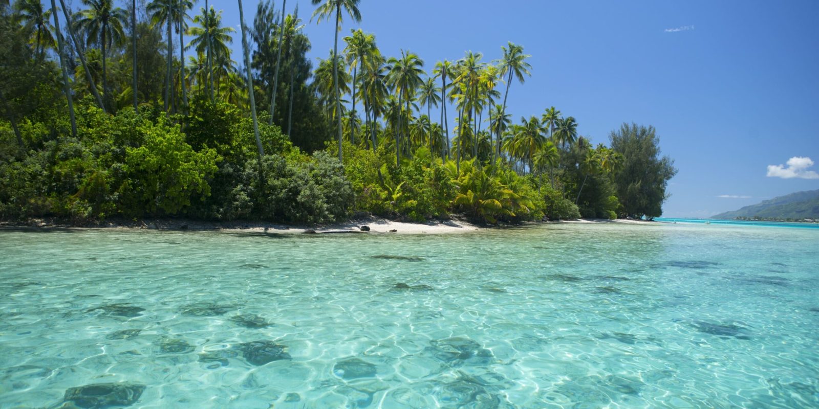Plage de Moorea c Tahiti Tourisme