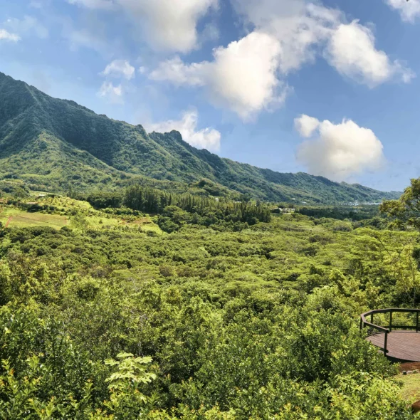 Point de vue sur une montagne à Raiatea©_Alika Photography