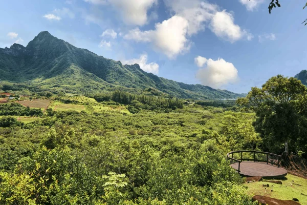 Point de vue sur une montagne à Raiatea©_Alika Photography