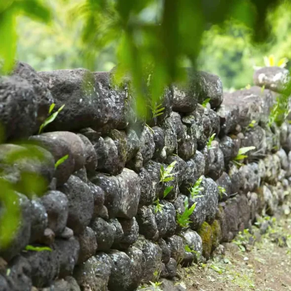 Marae de Tahiti Et Ses Îles© Tahiti Tourisme