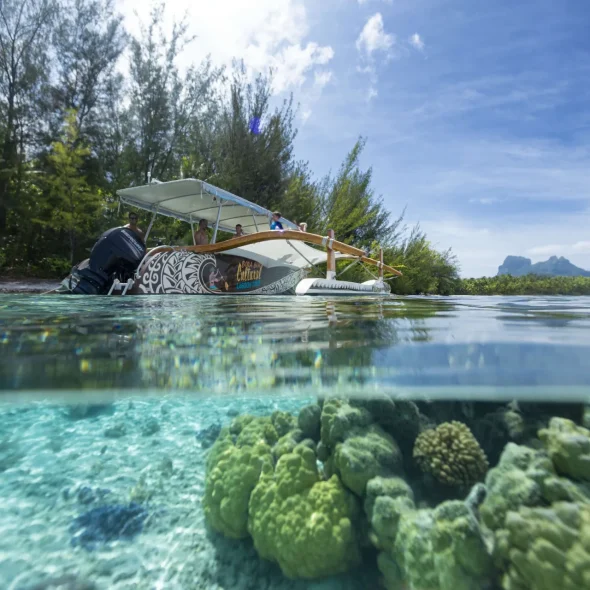 Les 10 meilleures raisons de se marier à Tahiti Et Ses Îles