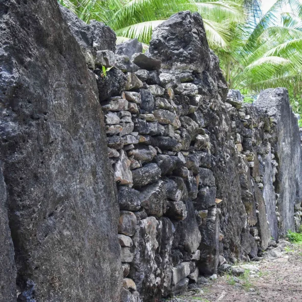 Manunu in Huahine © Teriitua Maoni