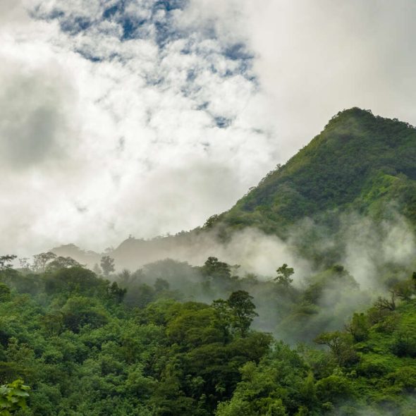 Saison des pluies à Tahiti © Dimitri Nguyen Verdenet