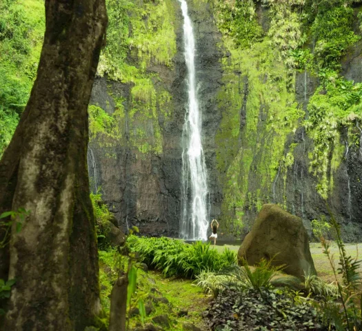 Visite aux trois cascades © Grégoire Le Bacon