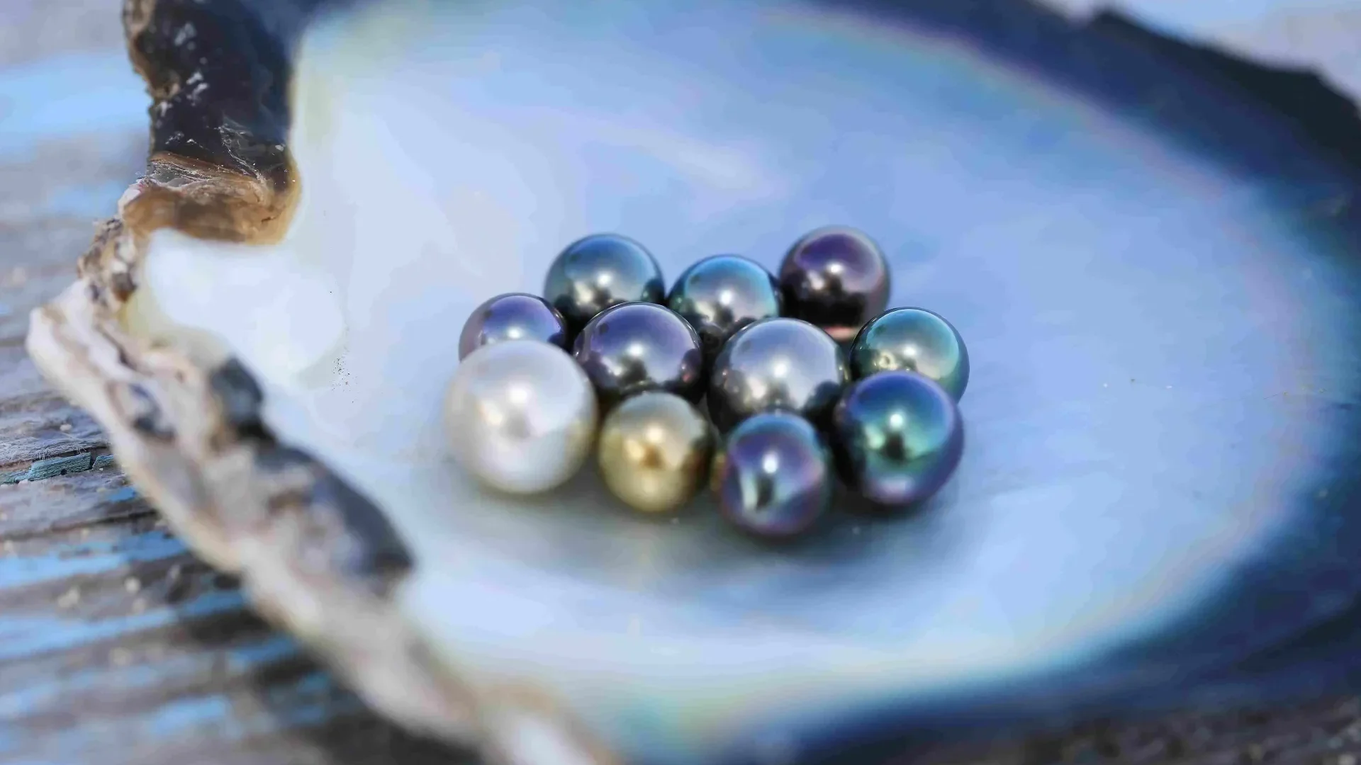 Les perles noires de Tahiti, remarquables gemmes de Polynésie française –  CASOAR │ Arts et Anthropologie de l'Océanie