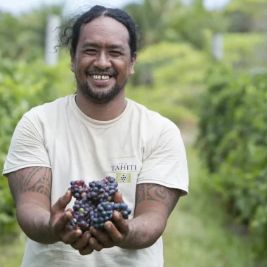 Le vin de Rangiroa est produit à partir de vignes cultivées directement sur l'île © Grégoire Le Bacon
