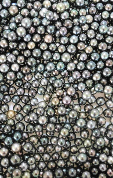 Perles noires de Tahiti © Grégoire Le Bacon