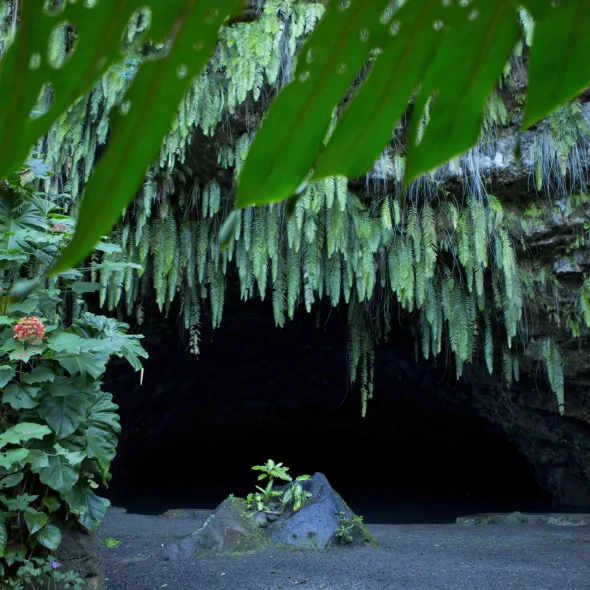 Top 10 des paysages de Tahiti