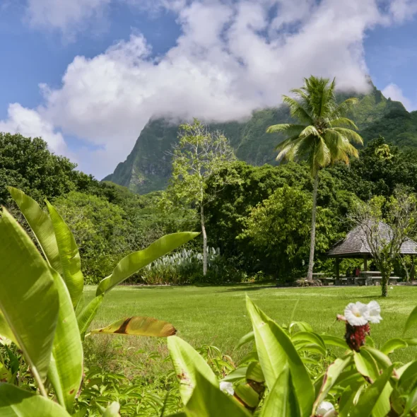 Les 10 plus beaux spots des Îles de la Société