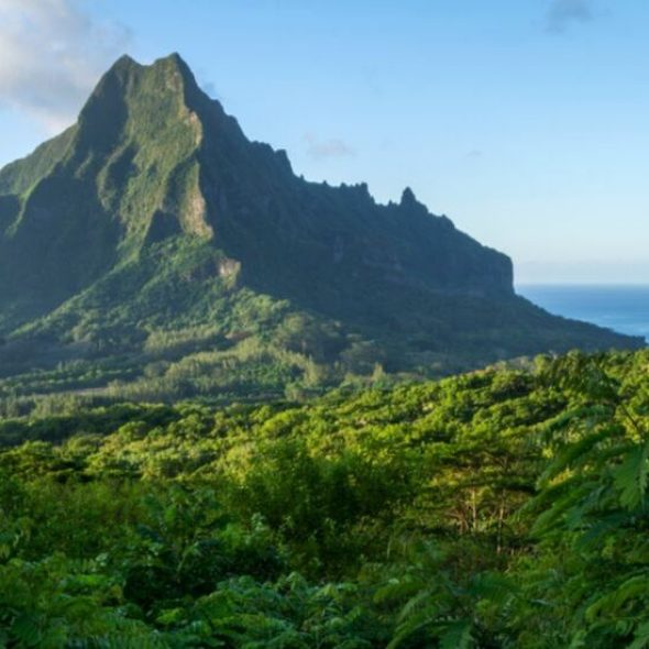 Vue sur le mont Rotui à Moorea