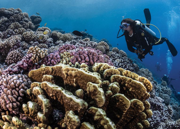 Plongée et découvrir la richesse sous-marine c Tahiti Tourisme